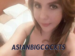 ASIAN_BIGCOCK_TS