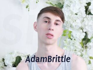 AdamBrittle