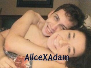 Alice_X_Adam