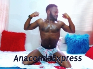 AnacondaExpress