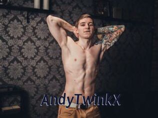 AndyTwinkX