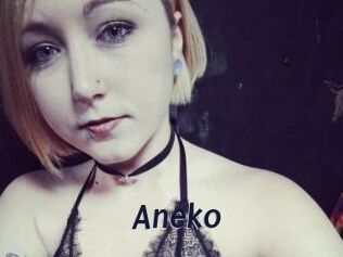 Aneko