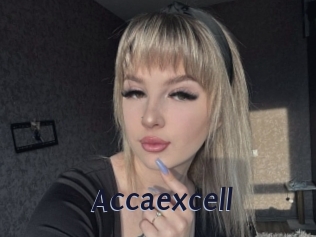 Accaexcell