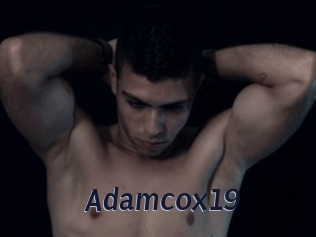 Adamcox19