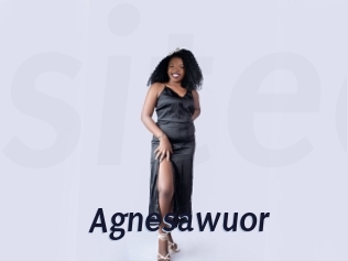 Agnesawuor