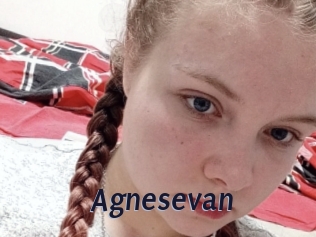 Agnesevan