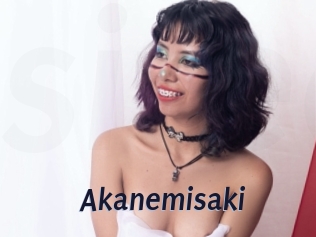 Akanemisaki