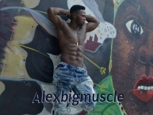 Alexbigmuscle