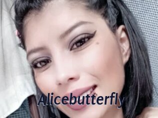 Alicebutterfly