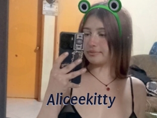 Aliceekitty