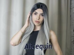 Alicequin