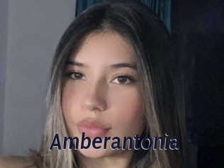 Amberantonia