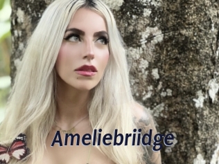 Ameliebriidge