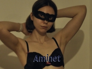 Aminet