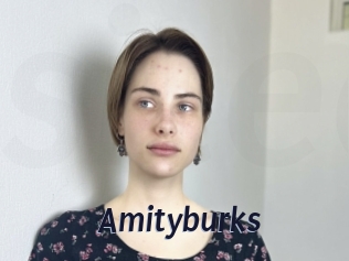 Amityburks