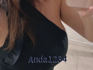 Anda1234