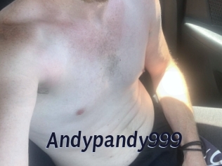 Andypandy999