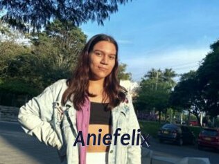 Aniefelix