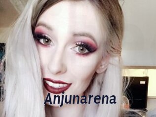 Anjunarena