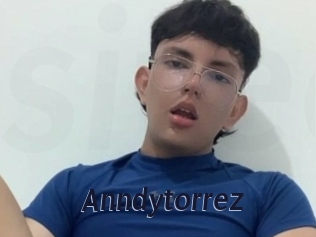 Anndytorrez