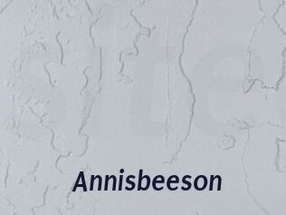 Annisbeeson