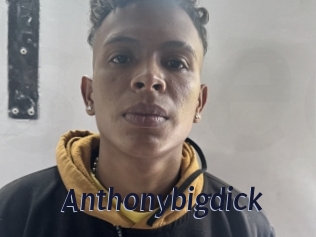 Anthonybigdick