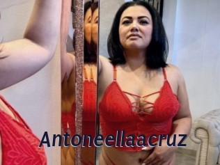 Antoneellaacruz