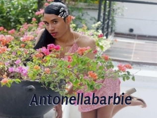 Antonellabarbie