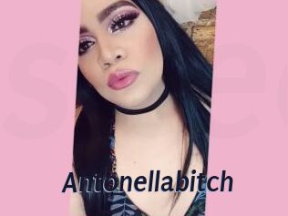 Antonellabitch