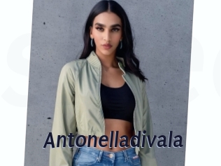 Antonelladivala