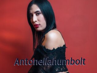 Antonellahumbolt