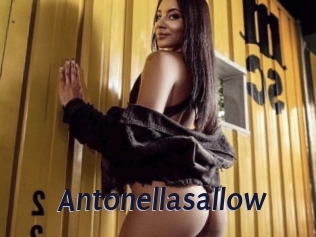 Antonellasallow