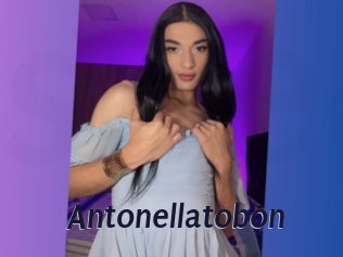 Antonellatobon