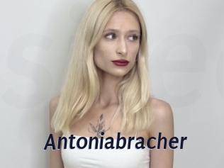 Antoniabracher