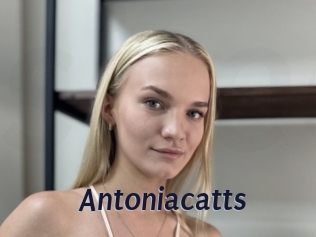 Antoniacatts