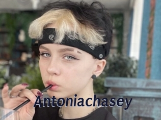 Antoniachasey