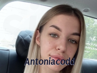 Antoniacodd