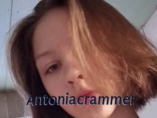 Antoniacrammer