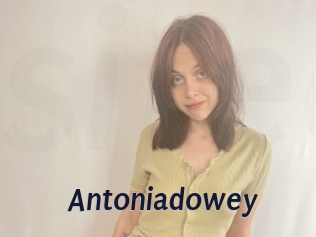 Antoniadowey