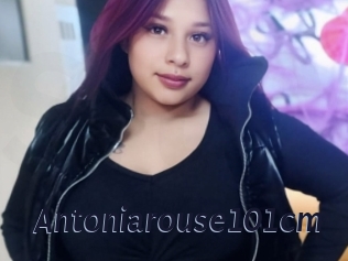 Antoniarouse101cm