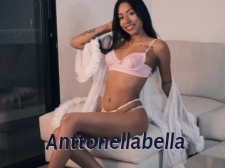 Anttonellabella