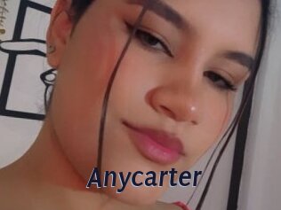 Anycarter