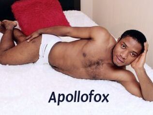 Apollofox