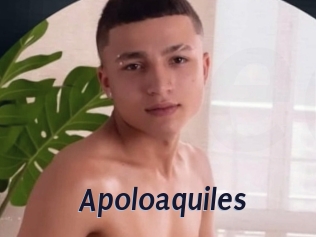 Apoloaquiles