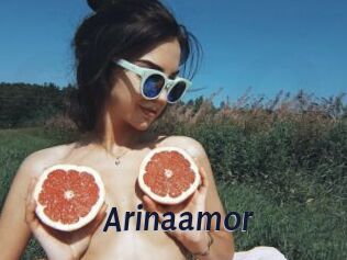 Arinaamor