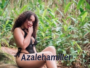 Azalehamiller