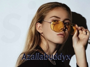 Azaliabuddyx