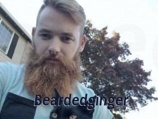 Beardedginger