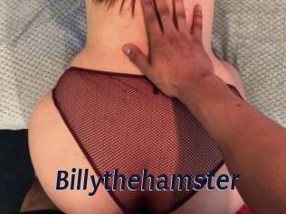 Billythehamster