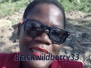 Blackwildberry33